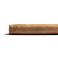Don Tomas Nicaragua Toro - 1 Single