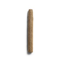 De Olifant Senoritas - VOC XO Cigar - 1 Single