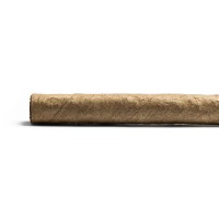De Olifant Senoritas - VOC XO Cigar - 1 Single