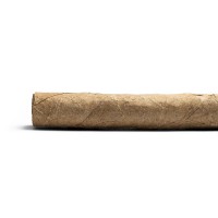 De Olifant Robusto Valentino Cigar - 1 Single