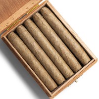 De Olifant Half Corona - Matelieff Cigar - Box of 10