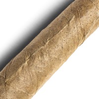 De Olifant - Tuit Senoritas - Knakje XO Cigar - 1 Single