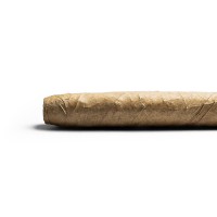 De Olifant - Tuit Senoritas - Knakje XO Cigar - 1 Single