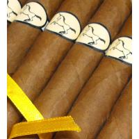 Charatan Petit Corona - First class Nicaraguan - Box of 25s
