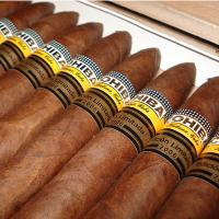 Cohiba Piramides Limited Edition (2006) Maduro - Box 10s