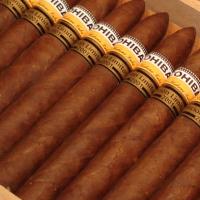 Cohiba Piramides Limited Edition Maduro 2001 - 25s
