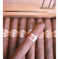 Dunhill Don Candido Seleccion No. 501