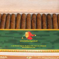 Hofnar Senoritas Brazil - Box of 25