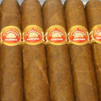 H. Upmann Coronas Cigar - Box of 25