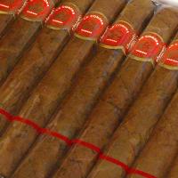 La Corona Petit Coronas JM OLSN (Jose Marti May 1991)- 1s