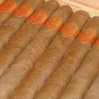 Hoyo de Monterrey Coin Dore Selection