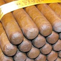 Punch Serie B Cabinet of 50