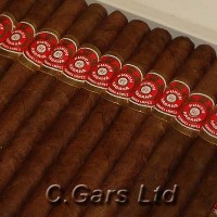 Punch Margaritas Cigar - 1 Single