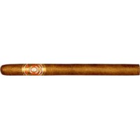 Punch Margaritas Cigar - 1 Single