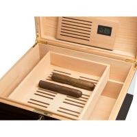 Morici Roma Eucalyptus Frise Trunk Cigar Humidor - 300 Cigar Capacity