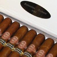 Sancho Panza Gigantes Orchant Seleccion 98/99 Box 10s SOLD OUT
