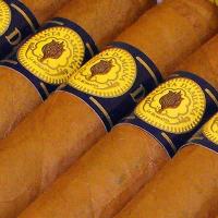 Santa Damiana Panatela Cigar - Box of 25