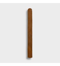 Conquistador Panatella Cigar - 1 Single