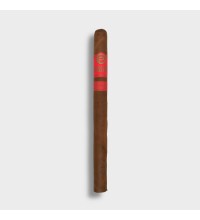 Plasencia Dominique Seleccion 2026 Exclusive Lancero - 1 Single