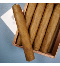 De Olifant Robusto Valentino Cigar - 1 Single