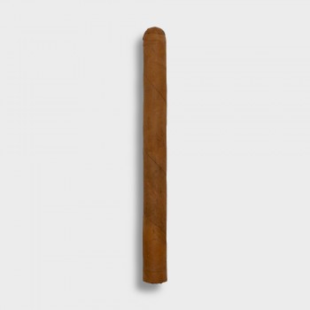 Conquistador Panatella Cigar - 1 Single