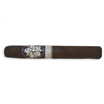 Room 101 Farce Maduro Robusto Cigar - 1 Single (End of Line)