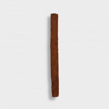 Partagas Club Cigarillos - 1 Single