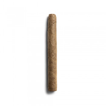 De Olifant Corona Cigar - 1 Single