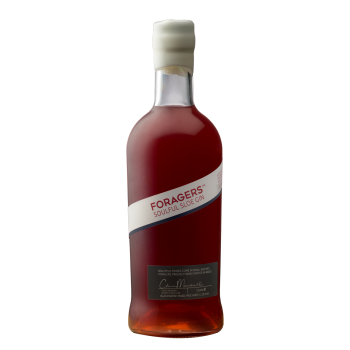 Snowdonia Foragers Gin Soulful Sloe - 30% 70cl