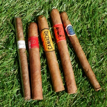Summer BBQ Sampler - Short Smoke - 5 Cigars