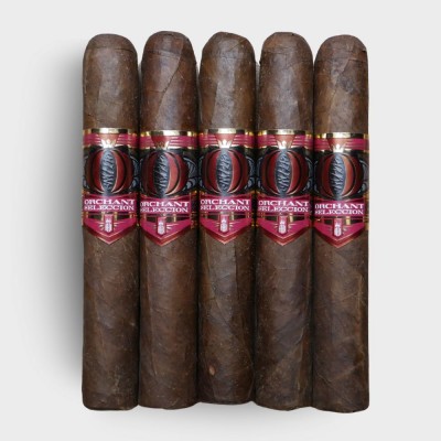 FLASH SALE - 5 for 70 - Alec Bradley Orchant Seleccion Shorty Sampler - 5 Cigars