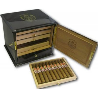 Punch Serie D'Oro No.1 Humidor 2008 (UK Regional Cigar)