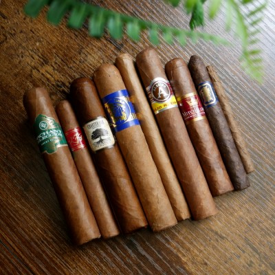 A Sampler for All - 9 Cigars