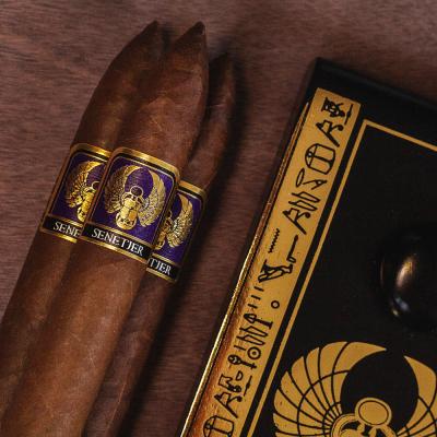 Foundation Highclere Castle Senetjer Limited Edition Cigar - 1 Single
