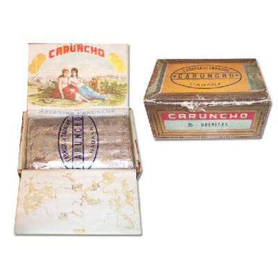 Caruncho Brevitas - 25s - part of the Ming Collection