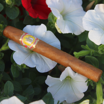 El Rey del Mundo 