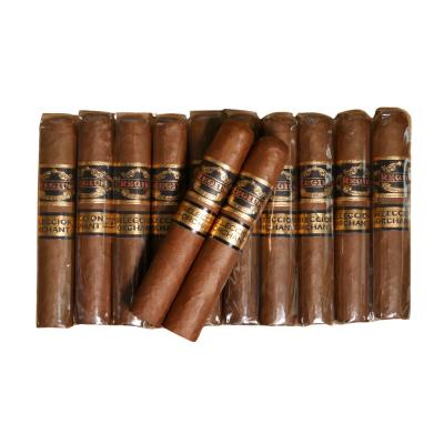FLASH SALE - Humidor Top Up - Regius Orchant Seleccion Nicaragua 2024 Robusto Sampler - 12 Cigars