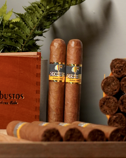 Cuban Cigar of the Month