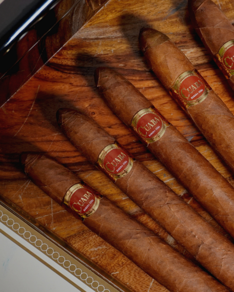Cuban Cigar of the Month
