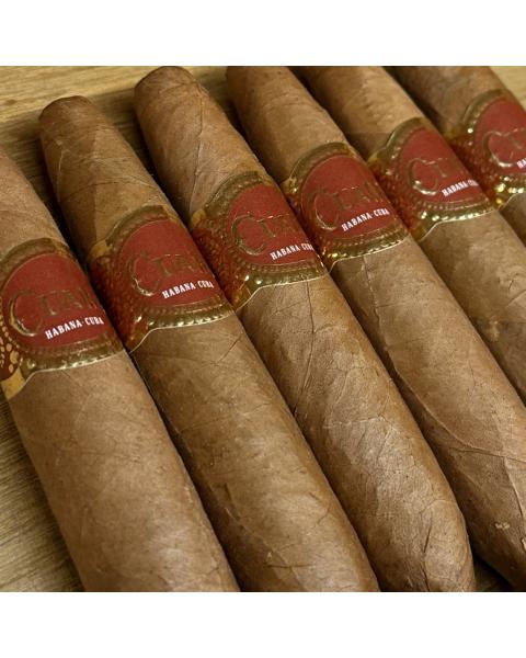 Cuban Cigar of the Month