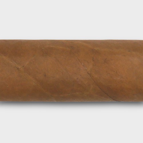 Flor De Oliva Connecticut Robusto Cigar - 1 Single