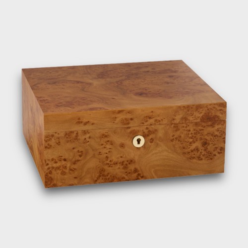 Adorini Catania Elm Burl Medium Deluxe Cigar Humidor - 75 Cigar Capacity (ADO203)