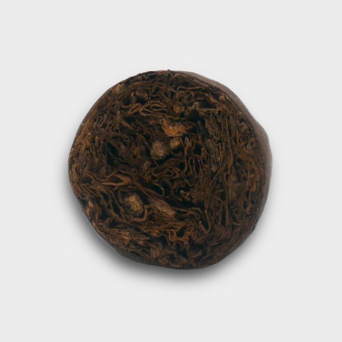 AVO Expresivo Robusto Cigar - 1 Single