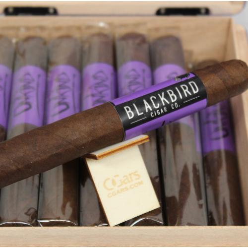 JANUARY SALE - Blackbird Unkind Gran Toro Cigar - 1 Single