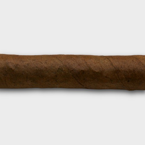 C.Gars Ltd Double Dutch Blend Wilde Senoritas - Box of 50