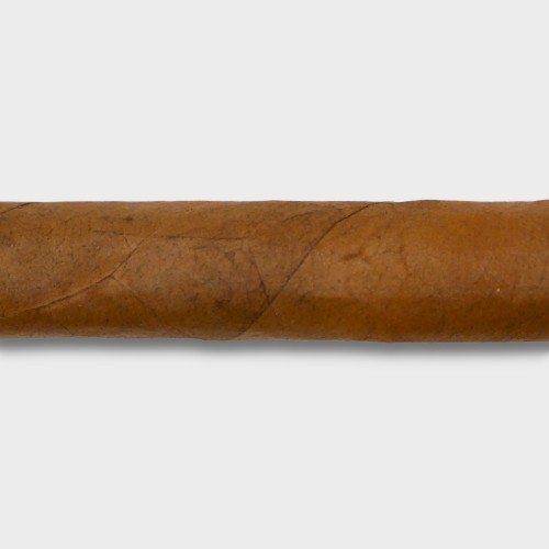 Conquistador Panatella Cigar - Bundle of 10