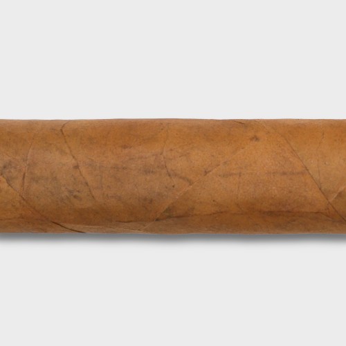 Conquistador Robusto Cigar - Bundle of 10