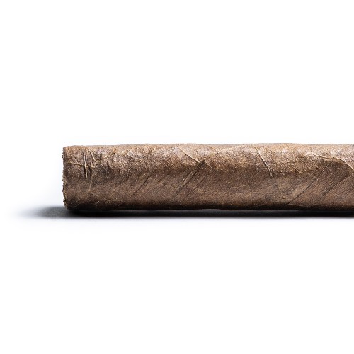 Davidoff Winston Churchill Artist Petit Corona Cigar - 1 Single