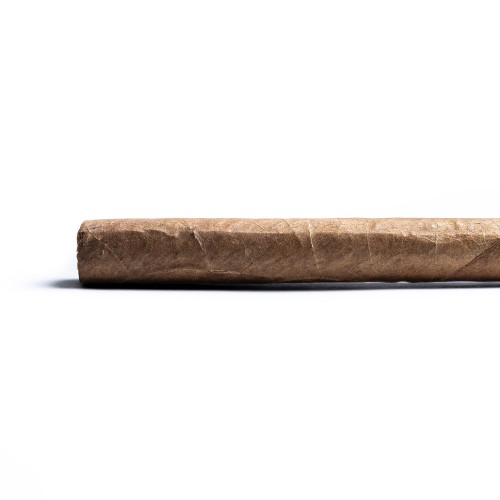 Davidoff Winston Churchill Aristocrat Churchill Cigar - 1 Single (End of Line)