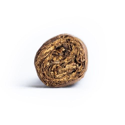 Davidoff Primeros Nicaragua Cigar - 1 Single